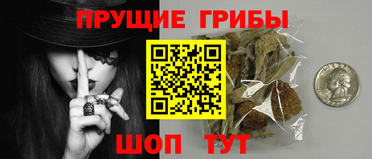 Галлюциногенные грибы Magic Shrooms  Псилоцибиновые грибы прущие грибы  где купить   Вход с VPN  Ржев 